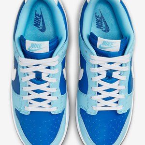 Nike Dunk Low Retro QS Argon (2022)